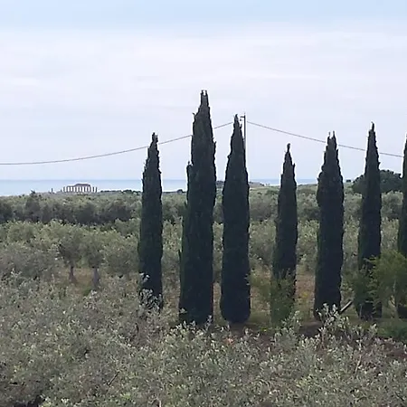 Agrisicilia Marinella di Selinunte